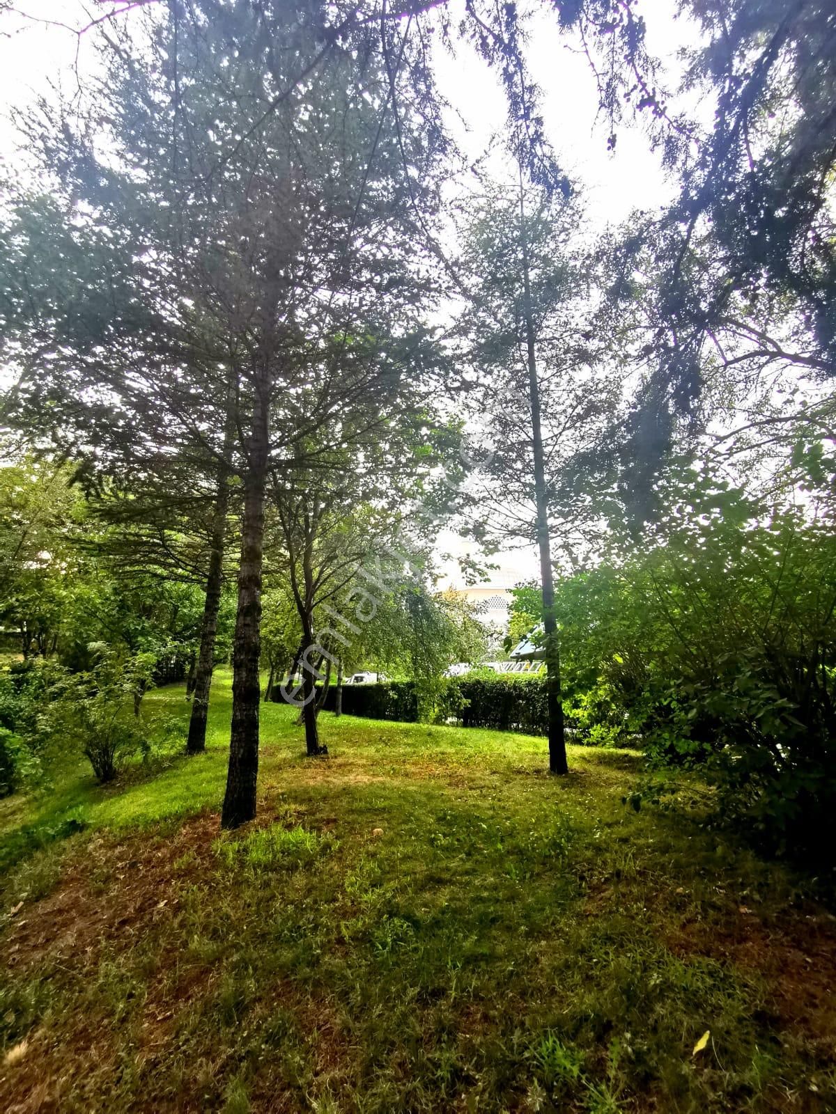 Eryaman Altay Mahallesinde Harika Konumda 1+1 Eşyalı Kiralık Daire - Görsel 24