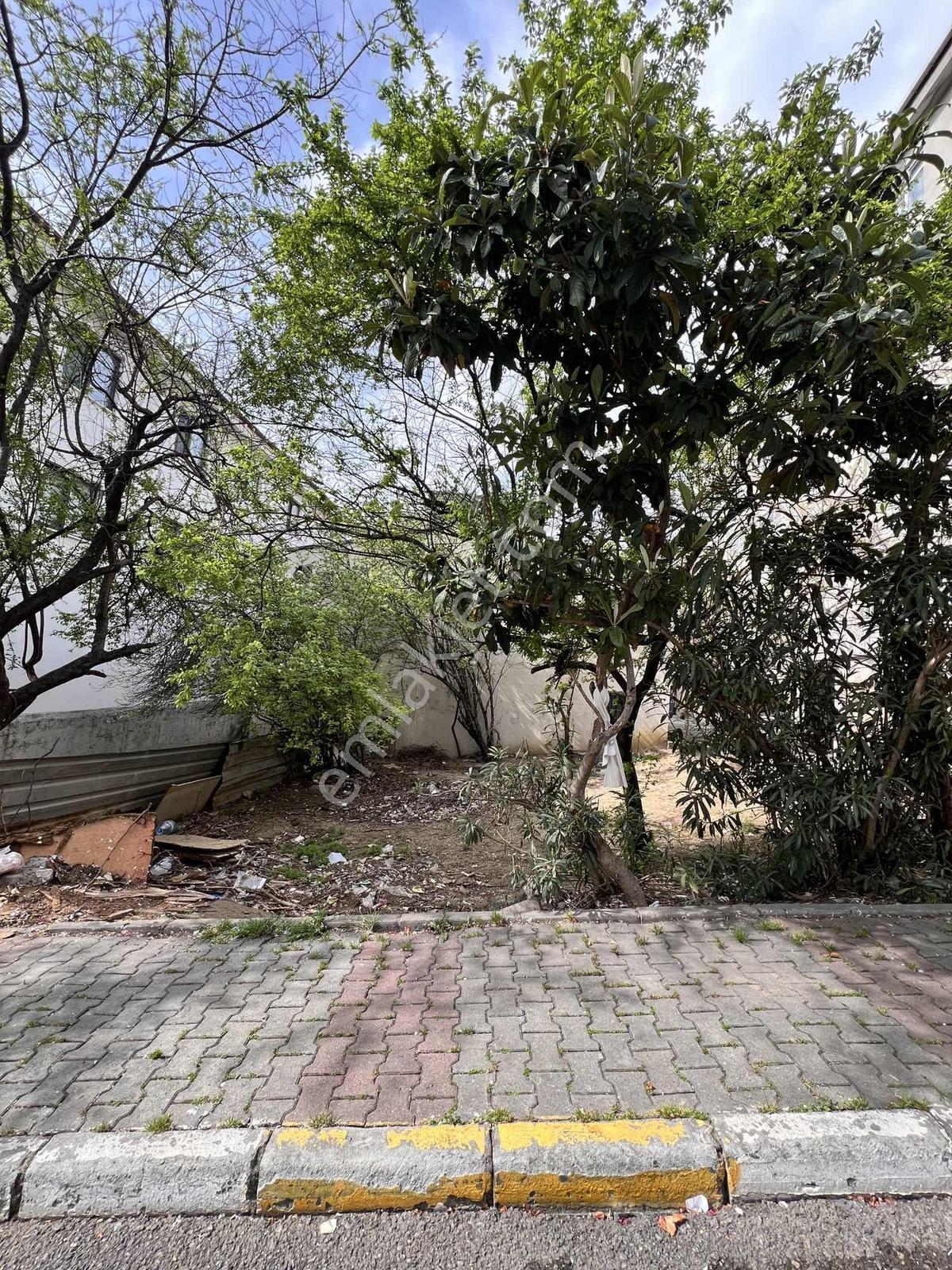Koru Emlak'tan Ticari 121m2 Satılık Arsa Fatih Cd Üzeri - Görsel 4