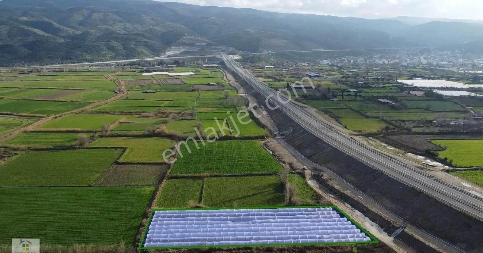 Aydın Yenipazar Hükümet Mahallesinde 5500 M² Satılık Tarla - Görsel 5