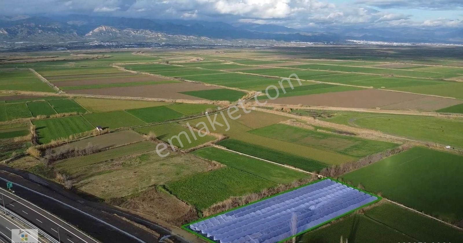 Aydın Yenipazar Hükümet Mahallesinde 5500 M² Satılık Tarla - Görsel 4
