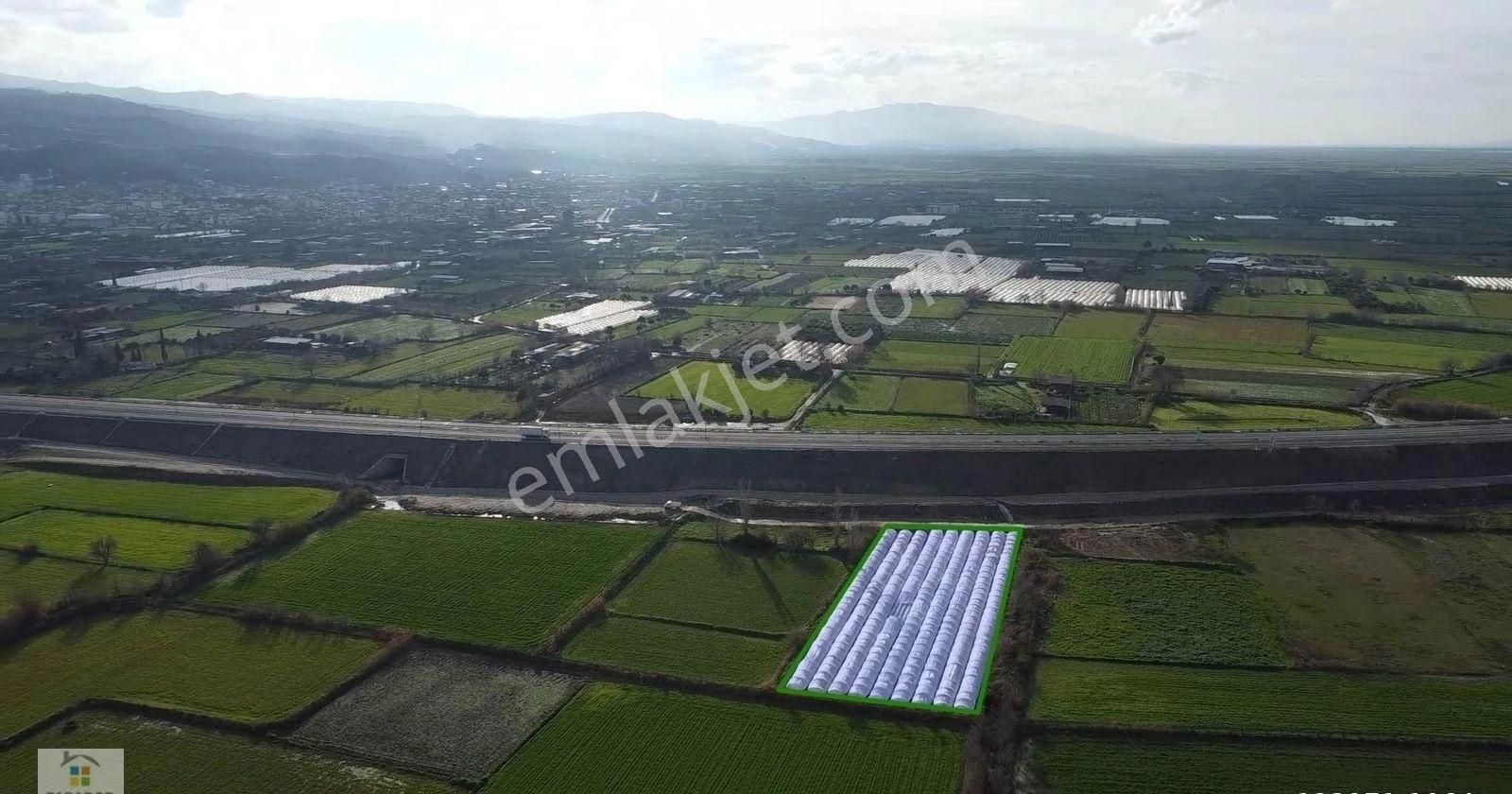 Aydın Yenipazar Hükümet Mahallesinde 5500 M² Satılık Tarla - Görsel 11