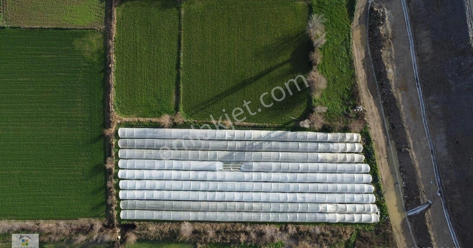 Aydın Yenipazar Hükümet Mahallesinde 5500 M² Satılık Tarla - Görsel 2