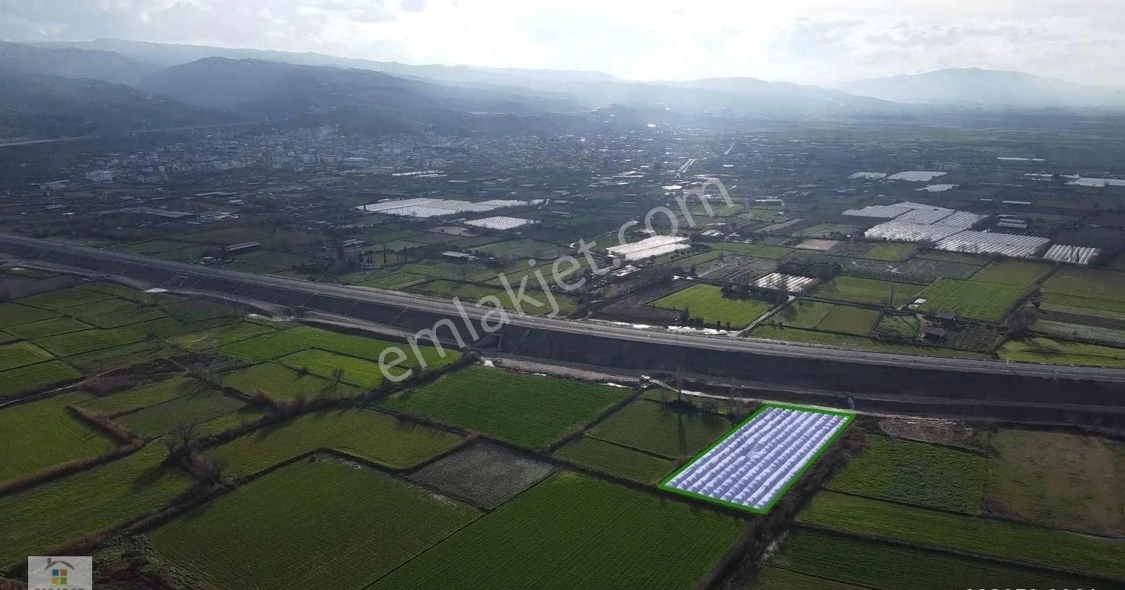 Aydın Yenipazar Hükümet Mahallesinde 5500 M² Satılık Tarla - Görsel 10
