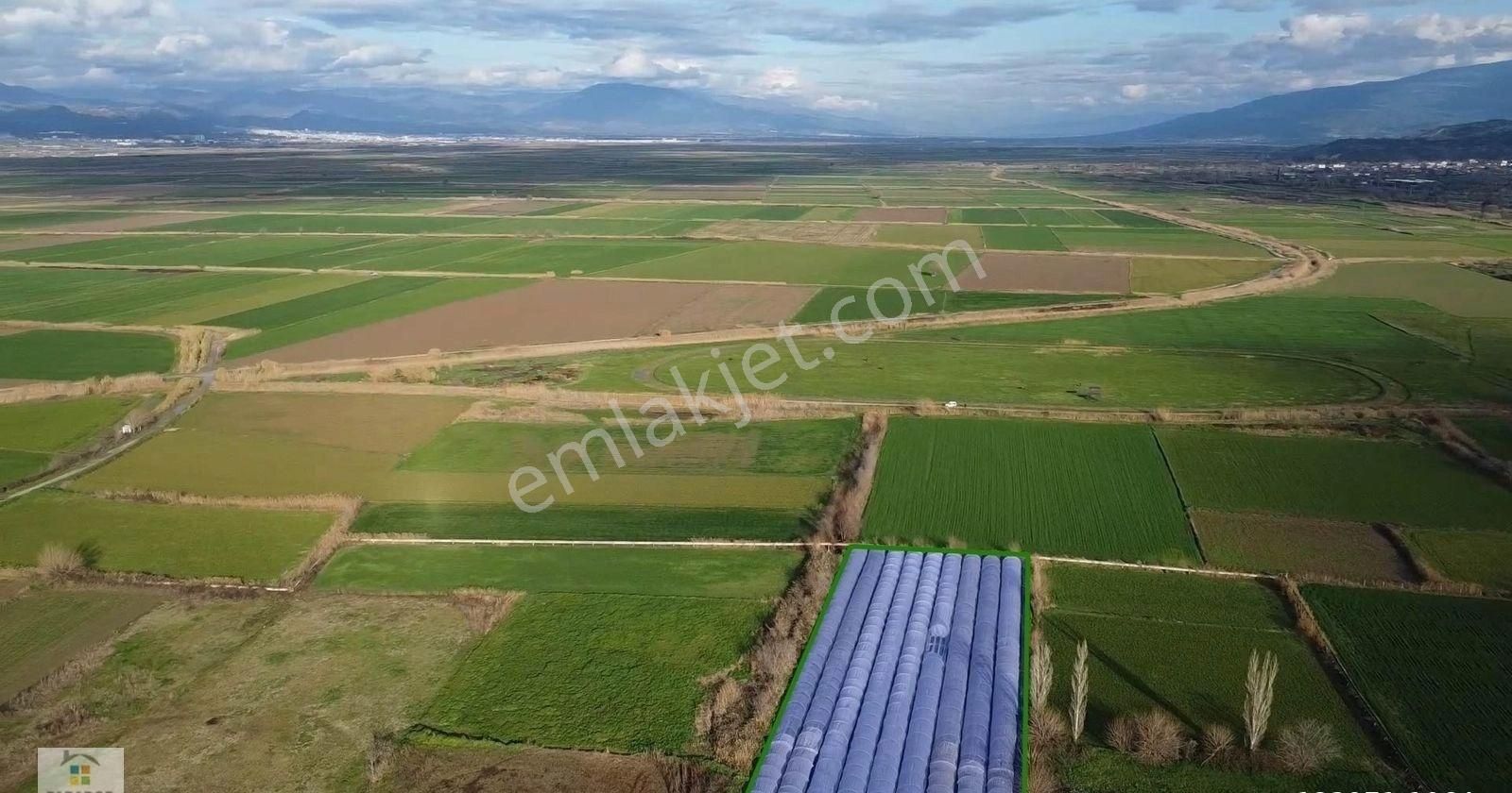 Aydın Yenipazar Hükümet Mahallesinde 5500 M² Satılık Tarla - Görsel 9