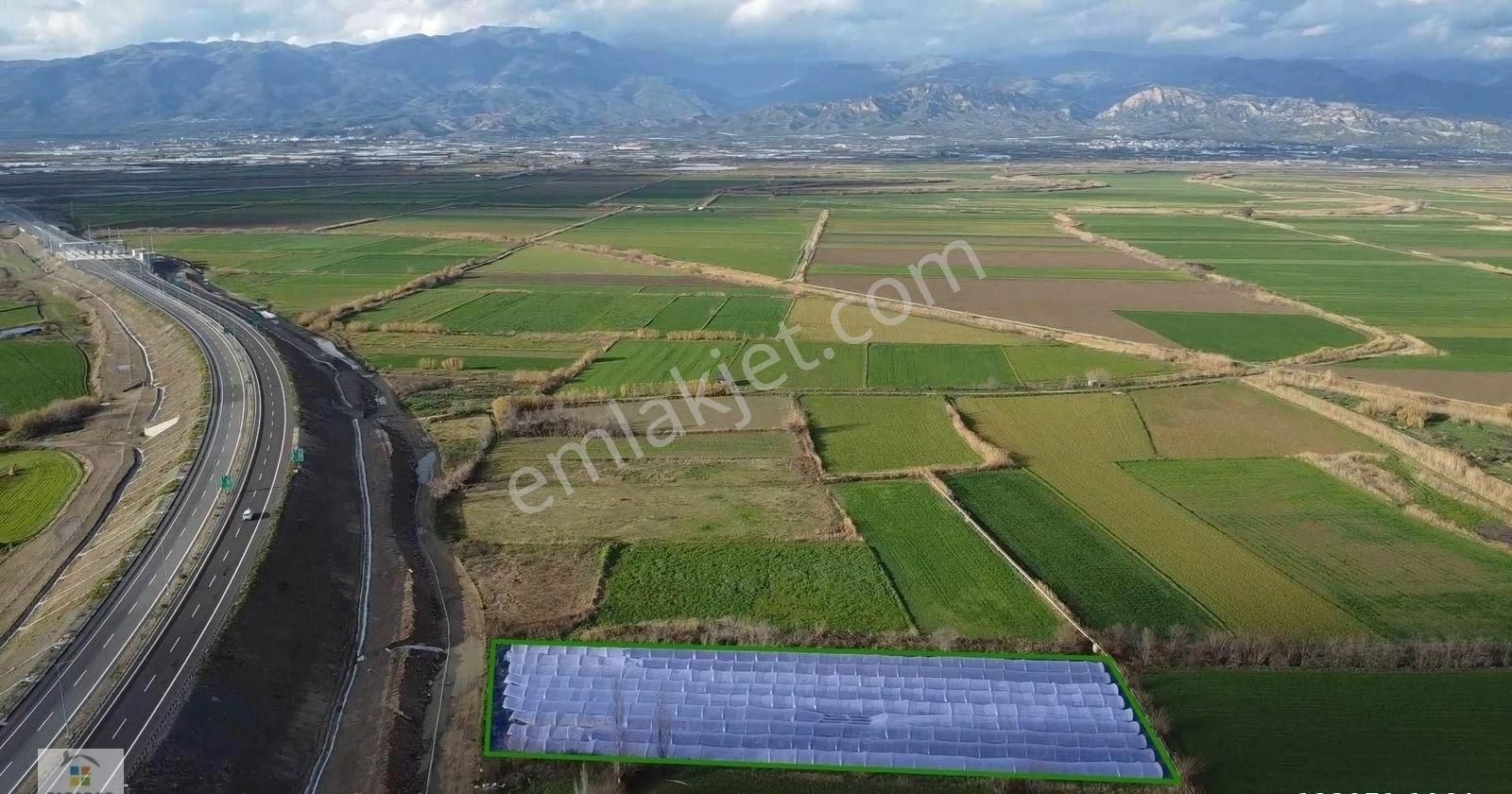 Aydın Yenipazar Hükümet Mahallesinde 5500 M² Satılık Tarla - Görsel 3