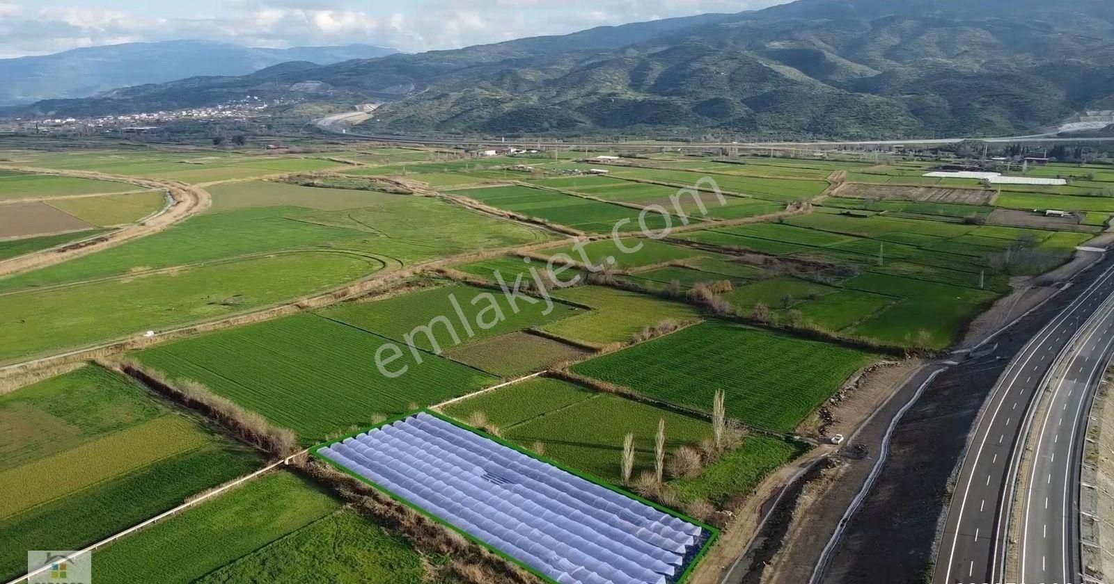 Aydın Yenipazar Hükümet Mahallesinde 5500 M² Satılık Tarla - Görsel 8
