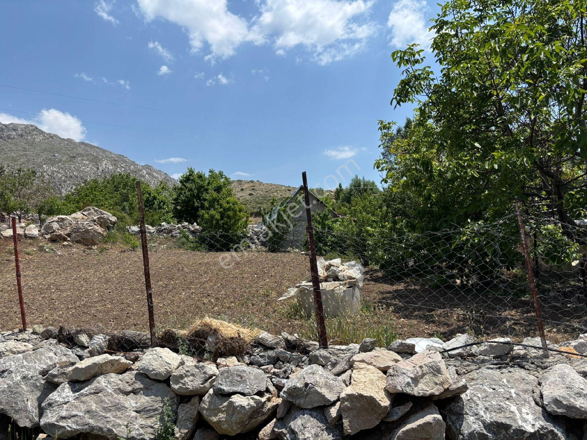 Gazipaşa Topsekisi Yaylasında Satılık Bahçe - Görsel 5