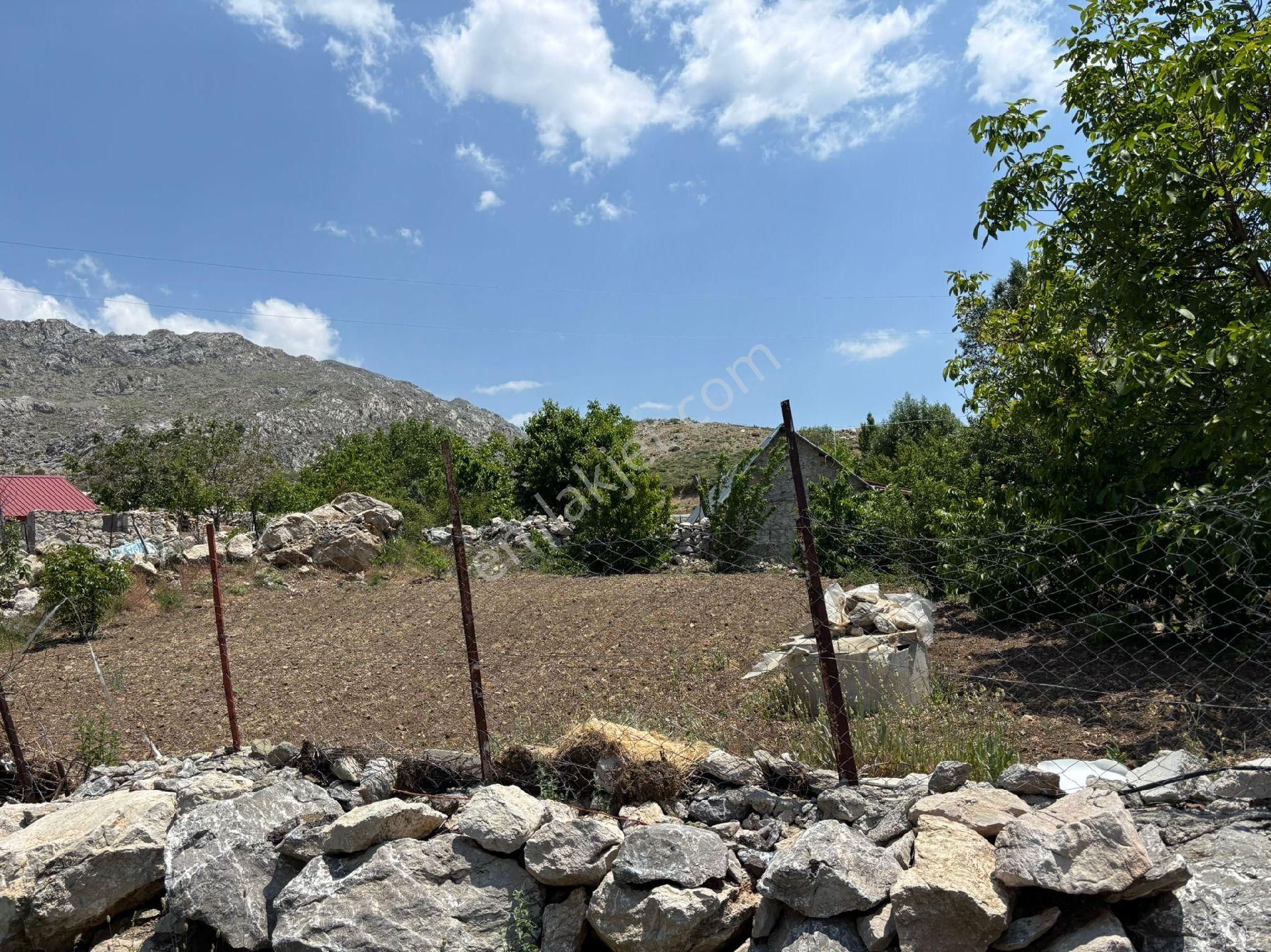 Gazipaşa Topsekisi Yaylasında Satılık Bahçe - Görsel 3