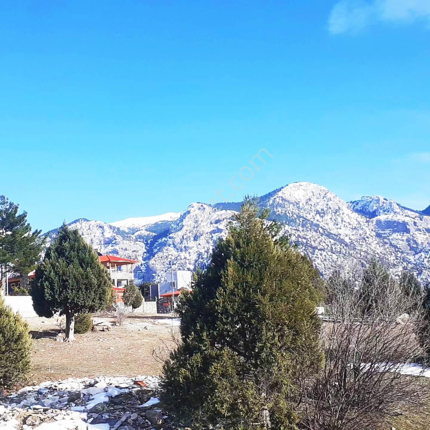 Kar Emlaktan Alpu Yaylasında 500 M2 Satılık Arsa - Görsel 10