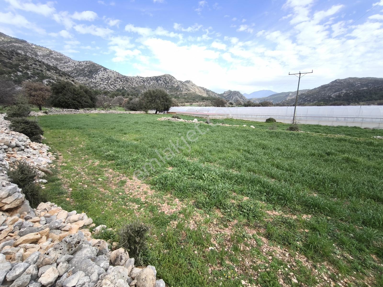 Fethiye Seydikemer Boğaziçi Satılık 4 Dönüm Tarla - Görsel 2