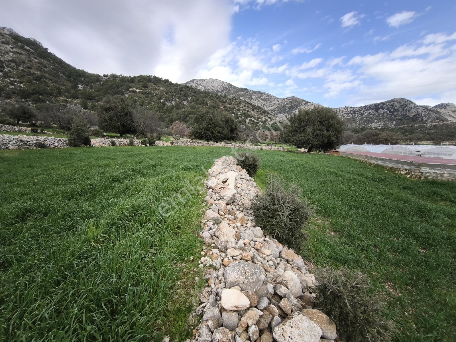 Fethiye Seydikemer Boğaziçi Satılık 4 Dönüm Tarla - Görsel 12