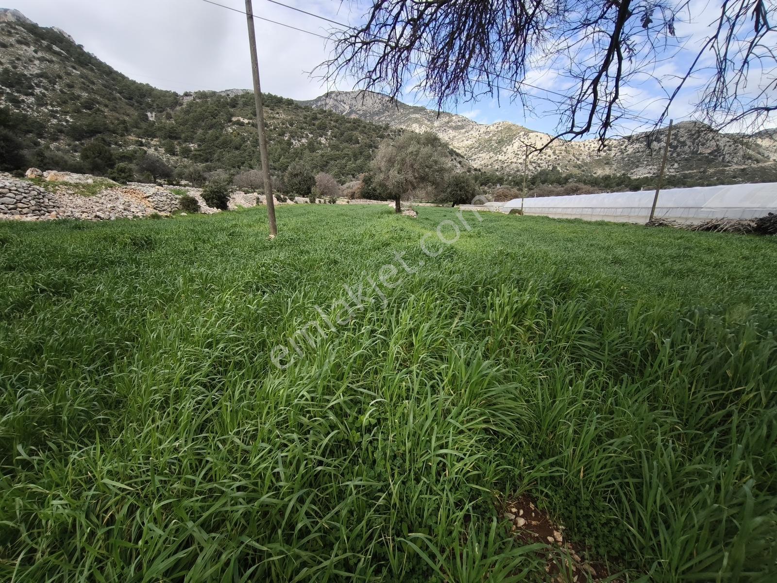 Fethiye Seydikemer Boğaziçi Satılık 4 Dönüm Tarla - Görsel 6