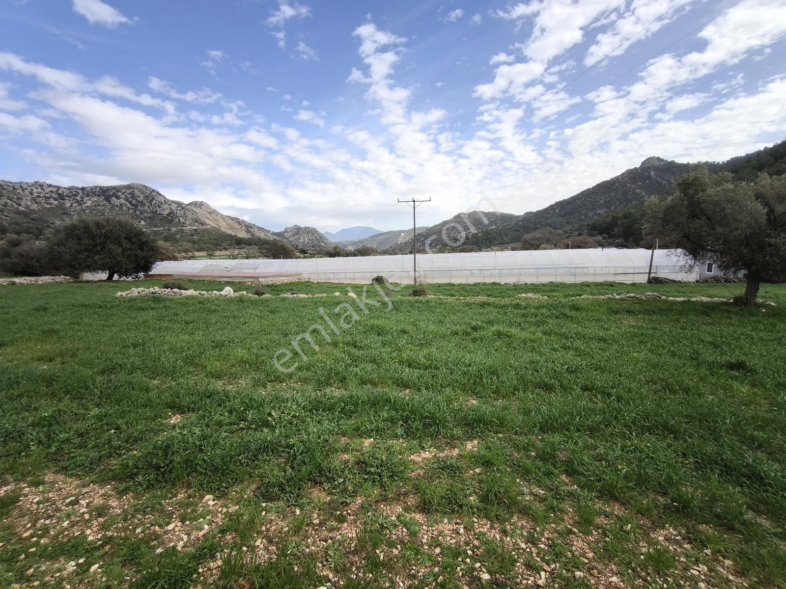 Fethiye Seydikemer Boğaziçi Satılık 4 Dönüm Tarla - Görsel 5