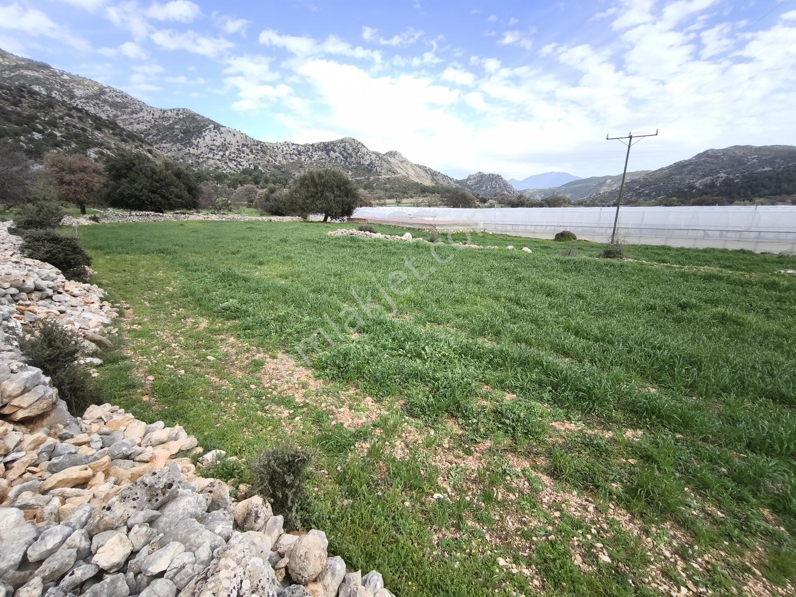 Fethiye Seydikemer Boğaziçi Satılık 4 Dönüm Tarla - Görsel 4