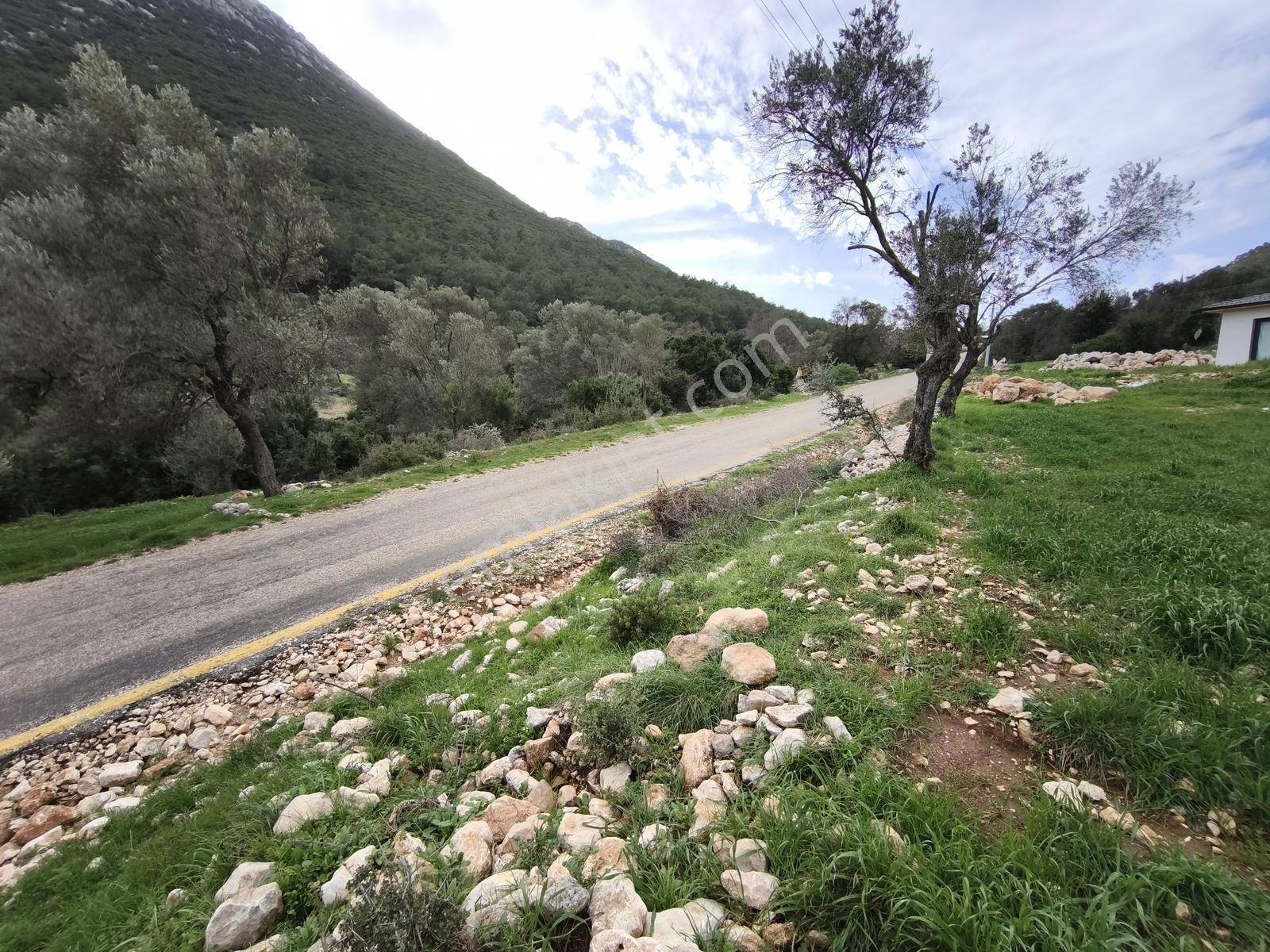 Fethiye Seydikemer Boğaziçi Satılık 4 Dönüm Tarla - Görsel 19