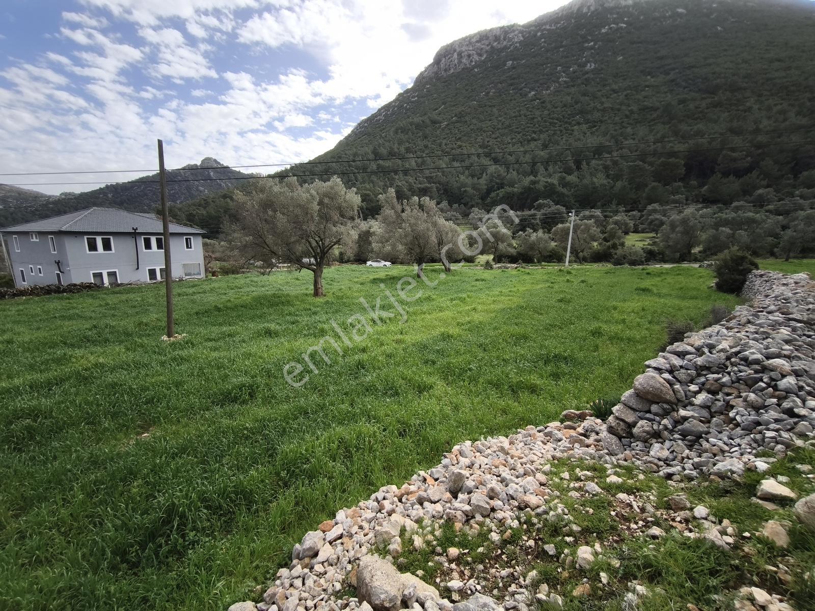 Fethiye Seydikemer Boğaziçi Satılık 4 Dönüm Tarla - Görsel 16