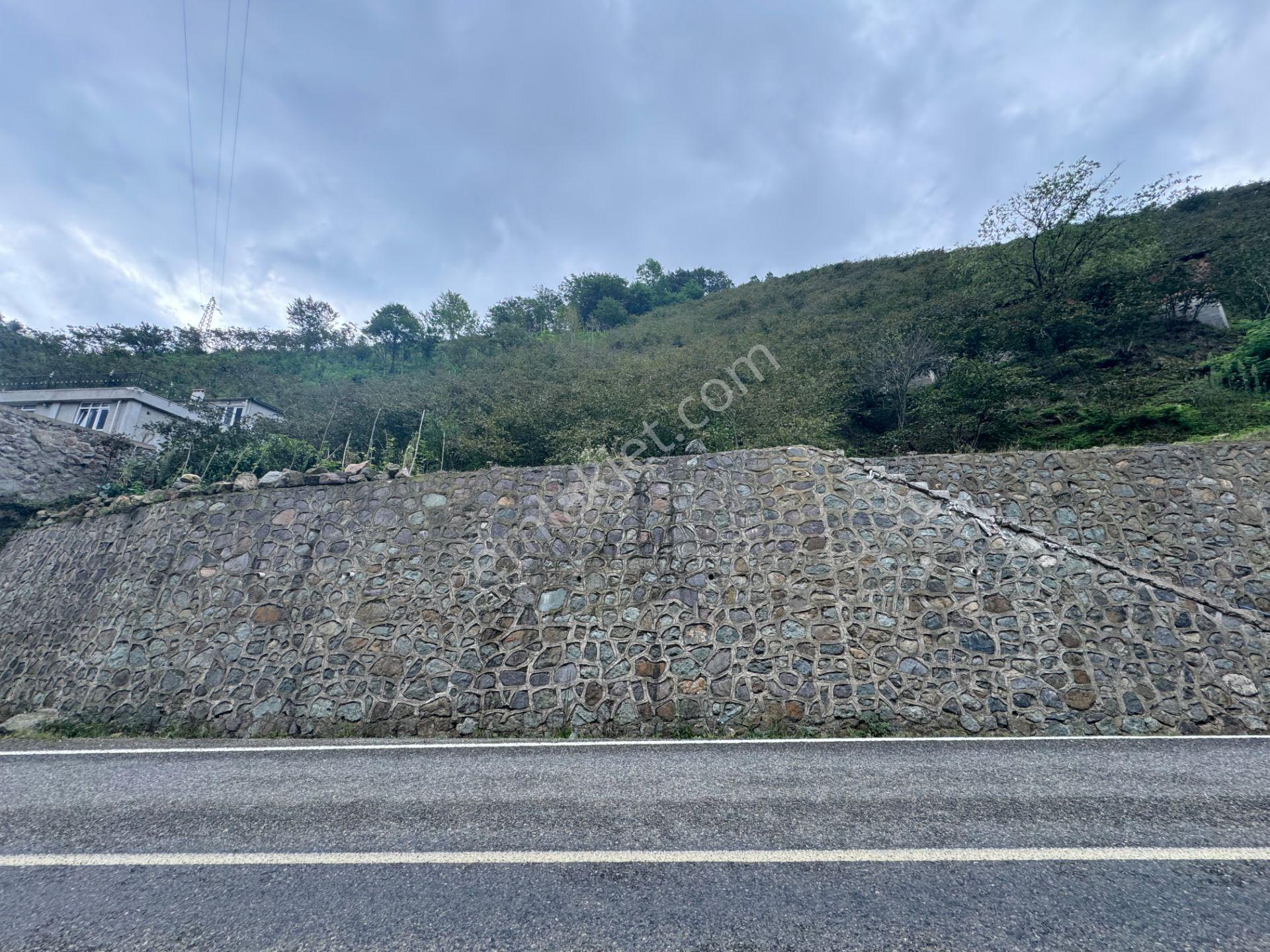İnanç Emlaktan Uzkara Köyünde Satılık 4656 M2 Fındık Bahçesi - Görsel 12