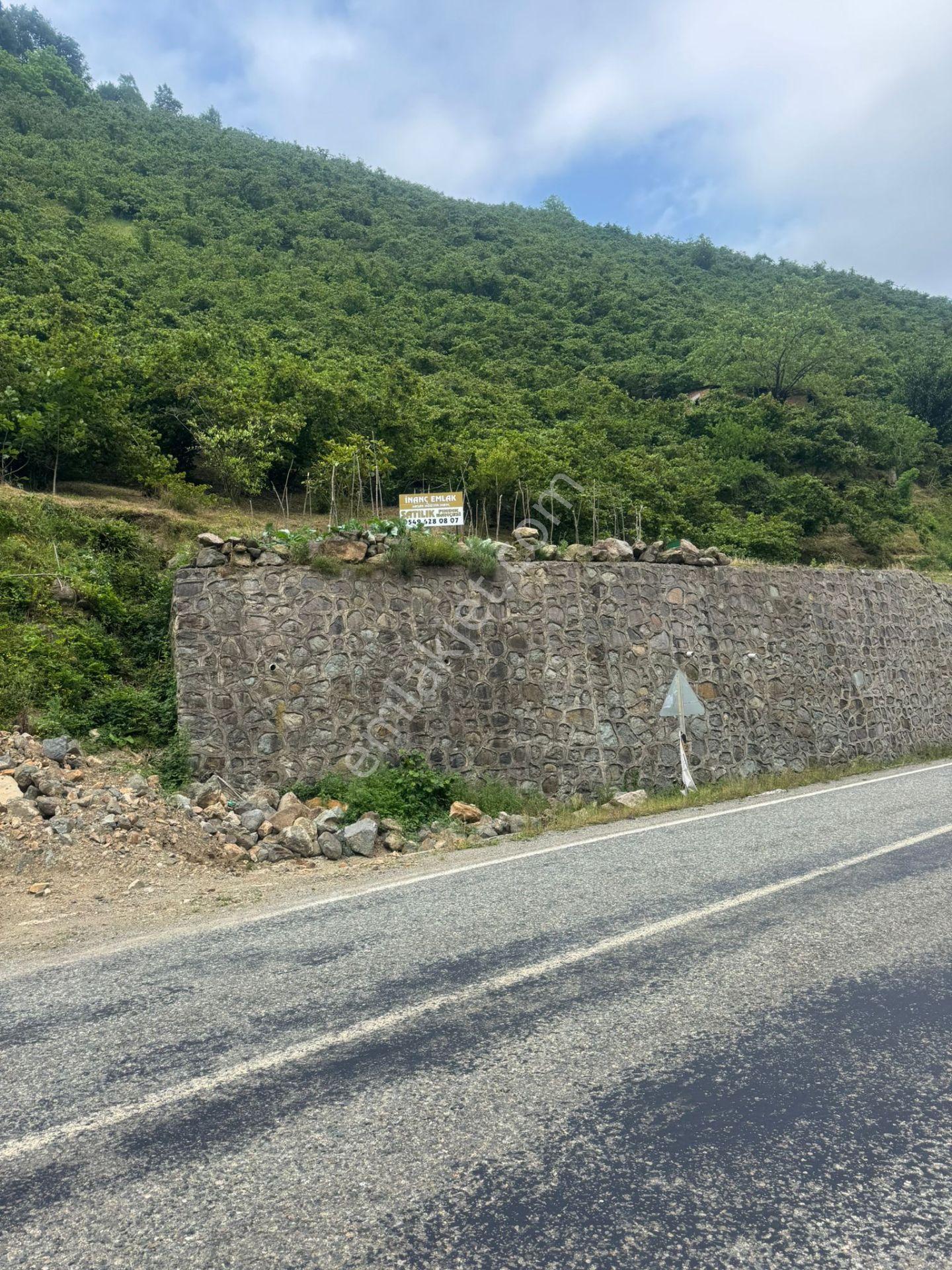 İnanç Emlaktan Uzkara Köyünde Satılık 4656 M2 Fındık Bahçesi - Görsel 4