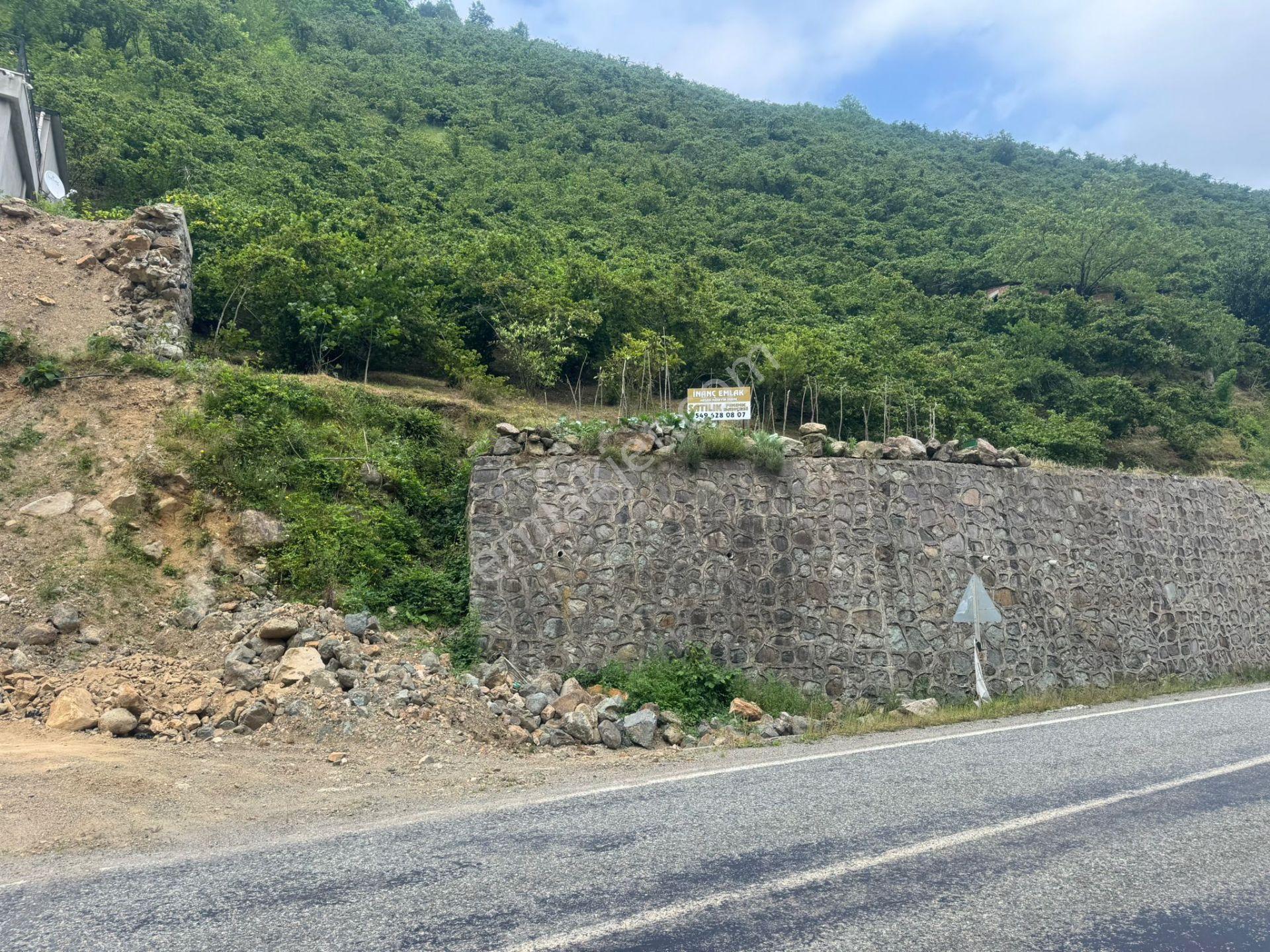 İnanç Emlaktan Uzkara Köyünde Satılık 4656 M2 Fındık Bahçesi - Görsel 2