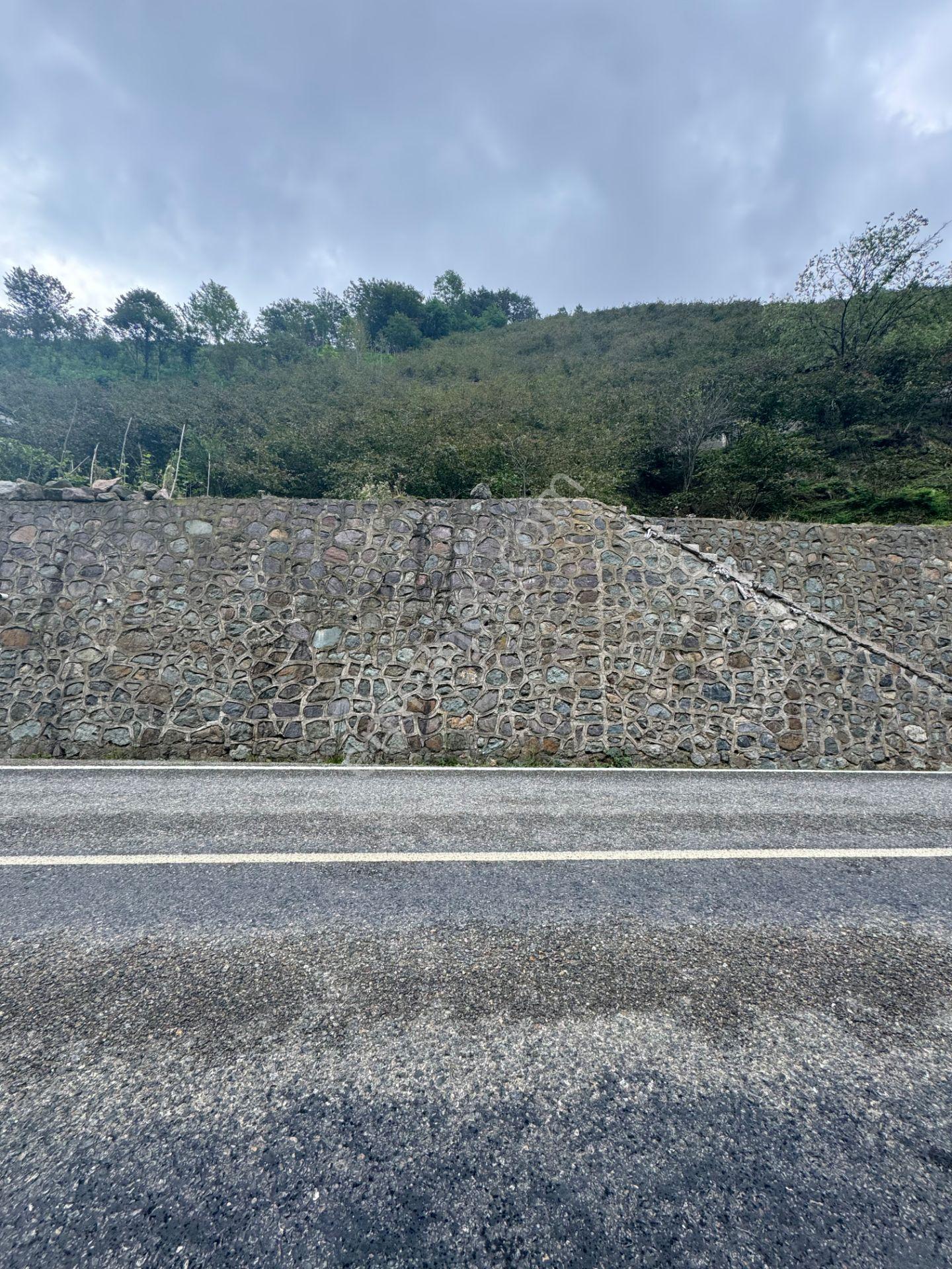 İnanç Emlaktan Uzkara Köyünde Satılık 4656 M2 Fındık Bahçesi - Görsel 8