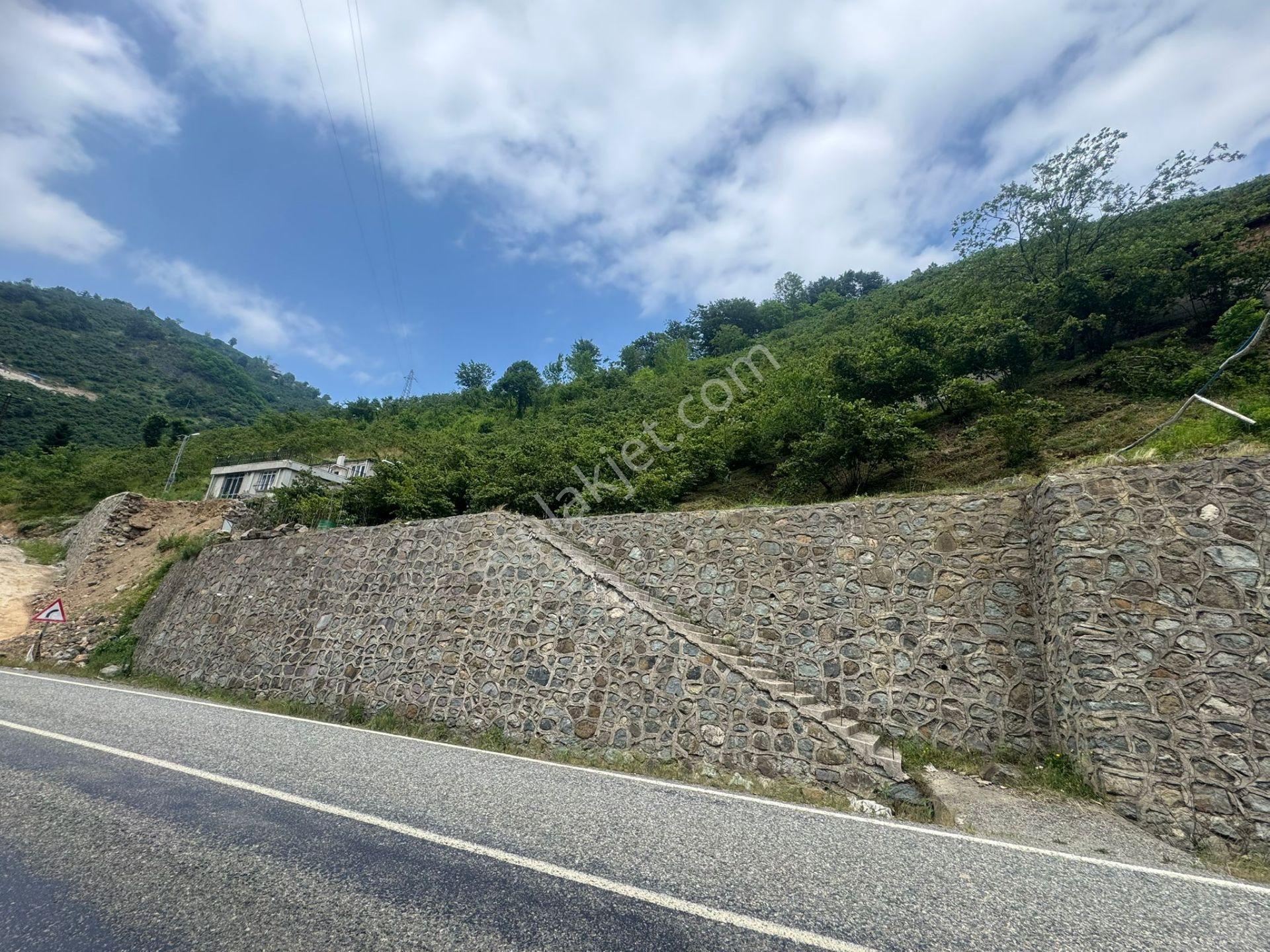 İnanç Emlaktan Uzkara Köyünde Satılık 4656 M2 Fındık Bahçesi