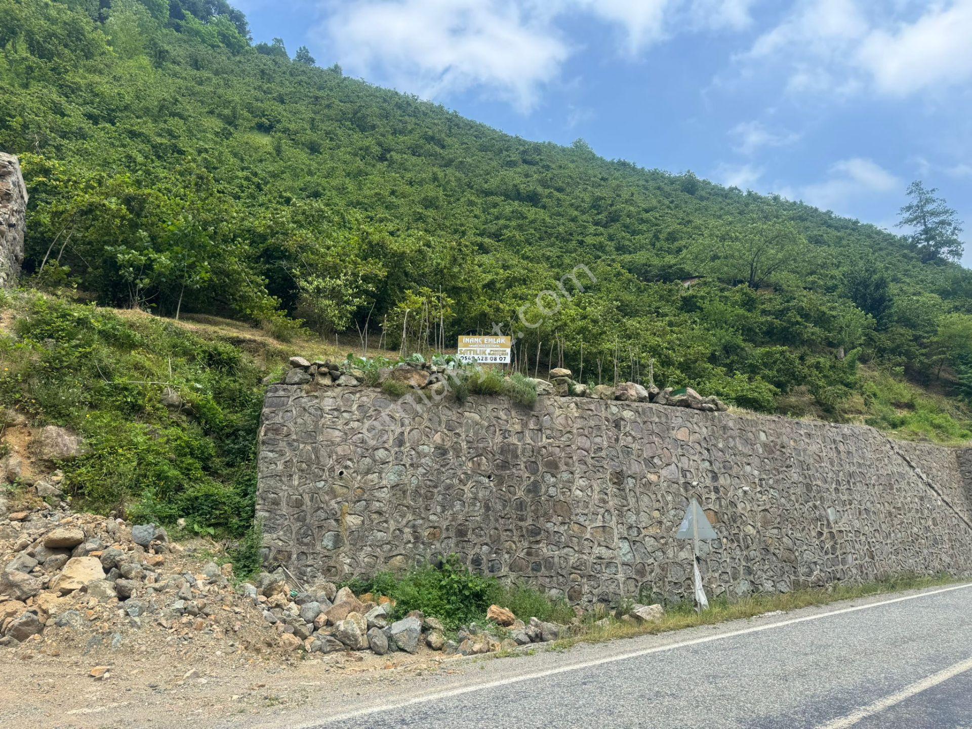 İnanç Emlaktan Uzkara Köyünde Satılık 4656 M2 Fındık Bahçesi - Görsel 6