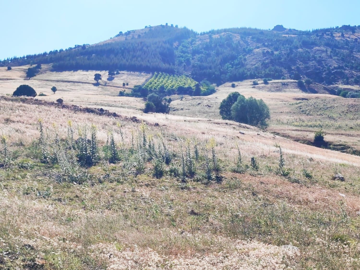 Kar Emlaktan Kamışlı Yaylasında 500 M2 Satılık Arsa - Görsel 29