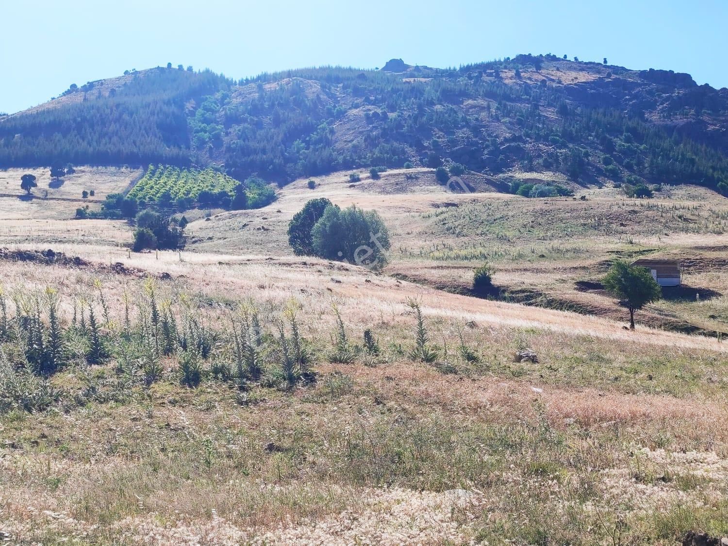 Kar Emlaktan Kamışlı Yaylasında 500 M2 Satılık Arsa - Görsel 24