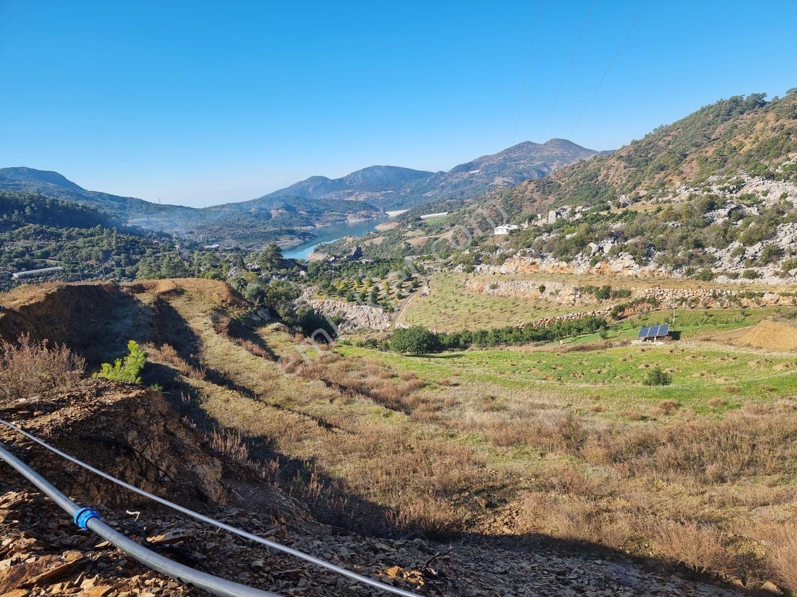 Gazipaşa Çörüş Mahallesinde Satılık Kurulu Düzen 10 Dönüm Bahçe - Görsel 6