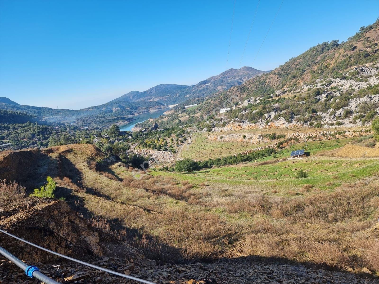Gazipaşa Çörüş Mahallesinde Satılık Kurulu Düzen 10 Dönüm Bahçe - Görsel 2