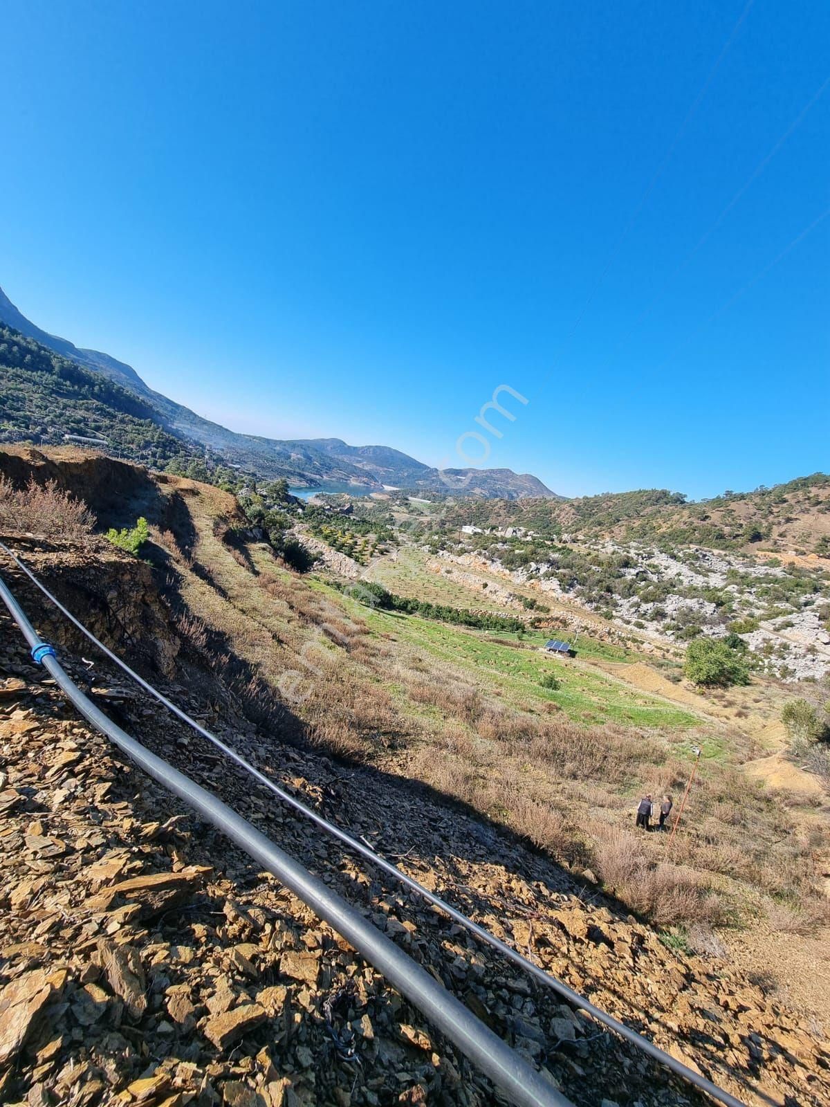Gazipaşa Çörüş Mahallesinde Satılık Kurulu Düzen 10 Dönüm Bahçe - Görsel 5