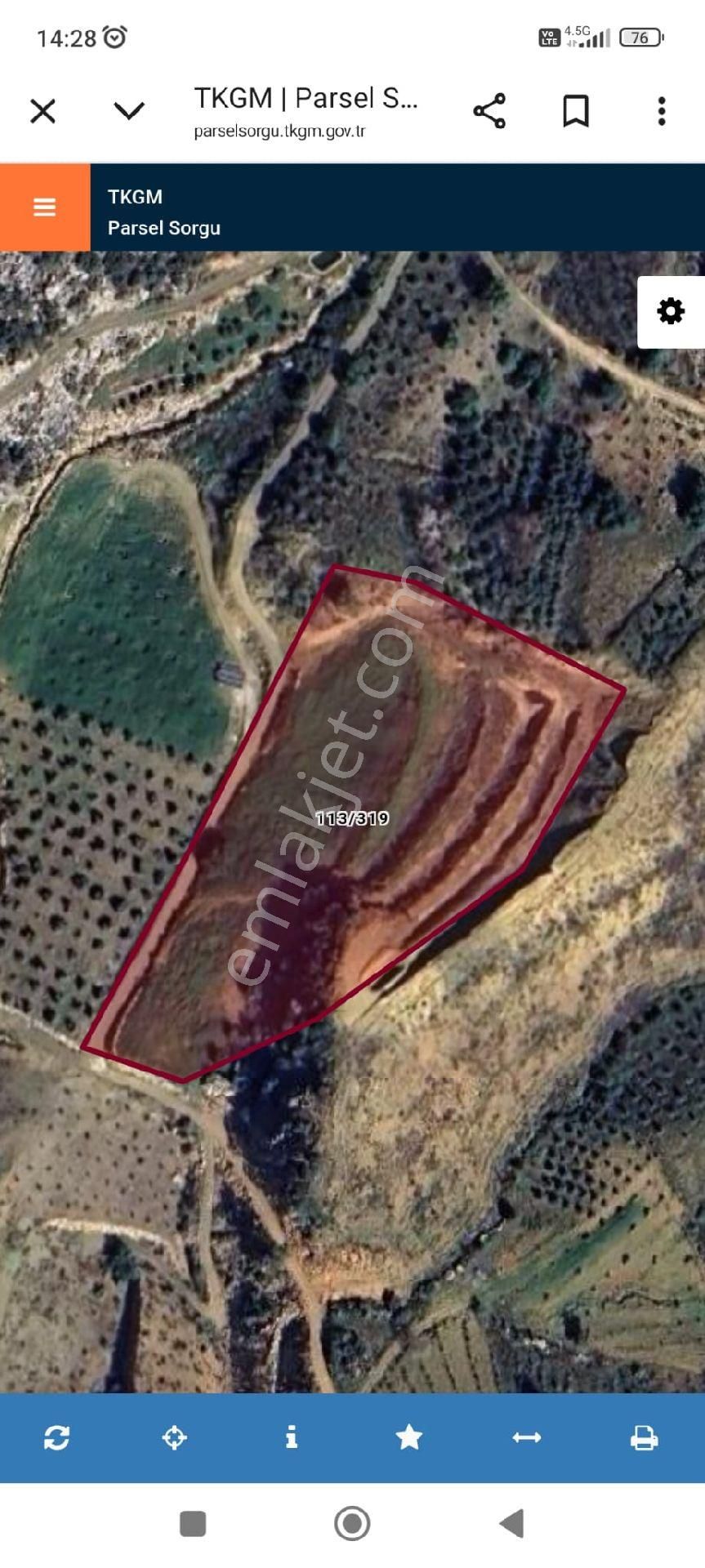 Gazipaşa Çörüş Mahallesinde Satılık Kurulu Düzen 10 Dönüm Bahçe