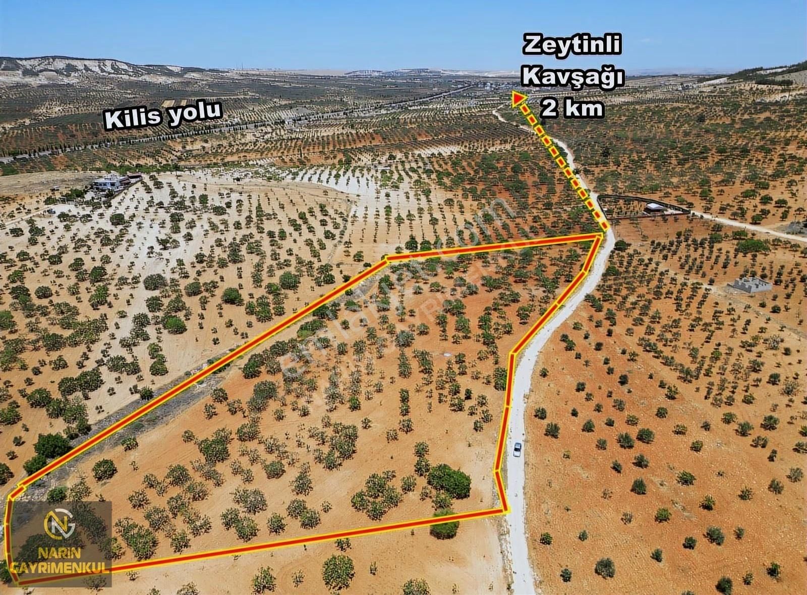 Şahinbey Bostancık 400 Fıstık, 4 Ton Ürün,resmi Yol, Kuyu Var - Görsel 11