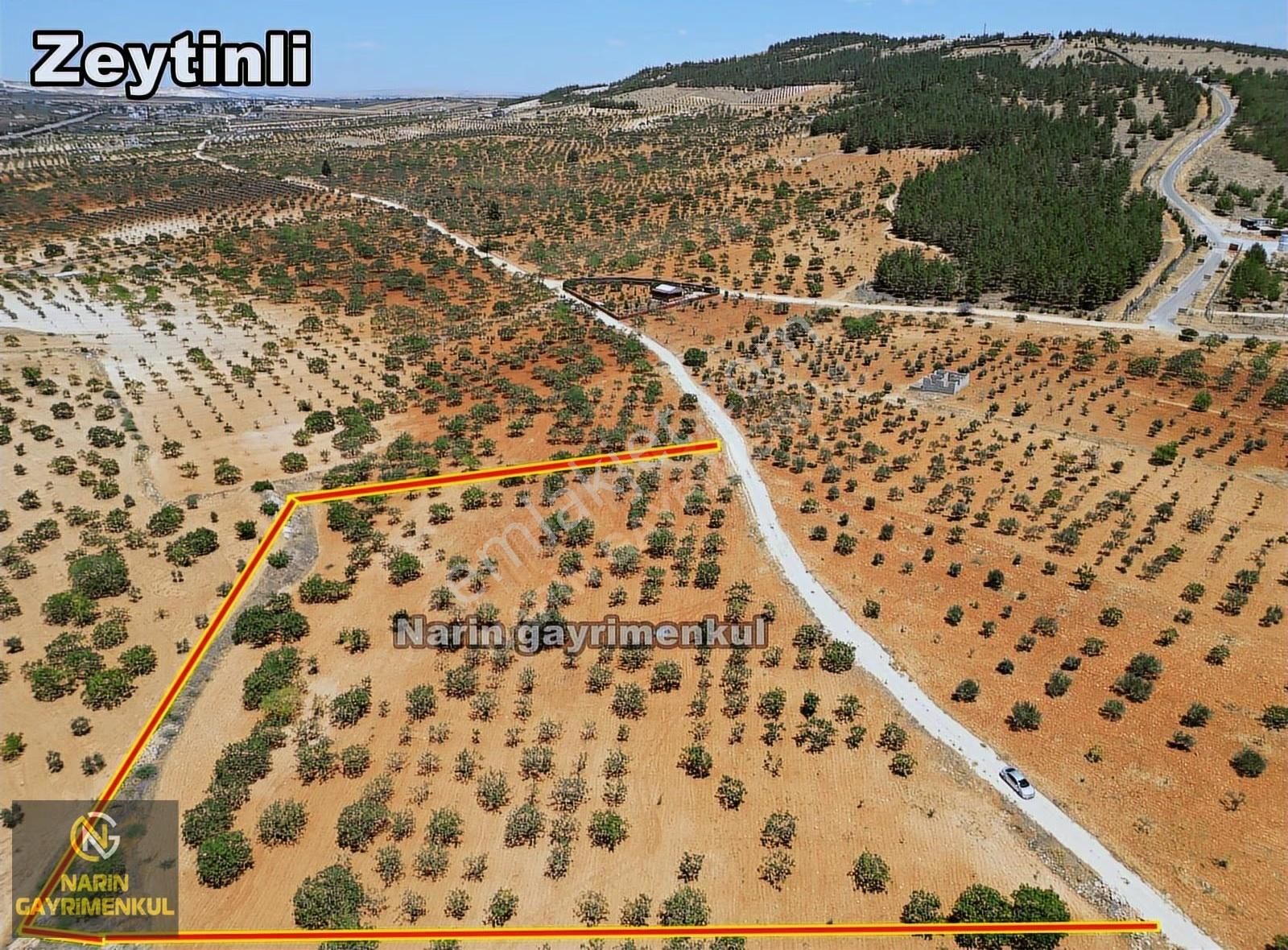 Şahinbey Bostancık 400 Fıstık, 4 Ton Ürün,resmi Yol, Kuyu Var - Görsel 4