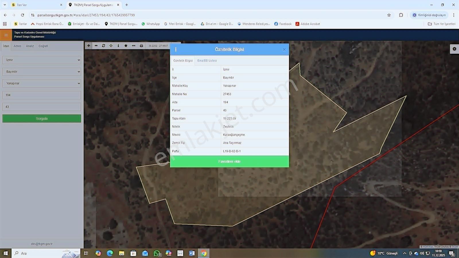 19 Dönüm Zeytinlik