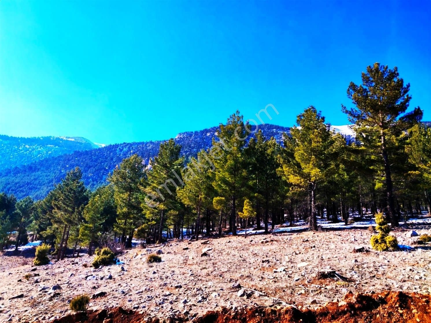 Kar Emlaktan Yenikonacık Efes Sitesi Üzerinde 400 M2 Satılık Arsa