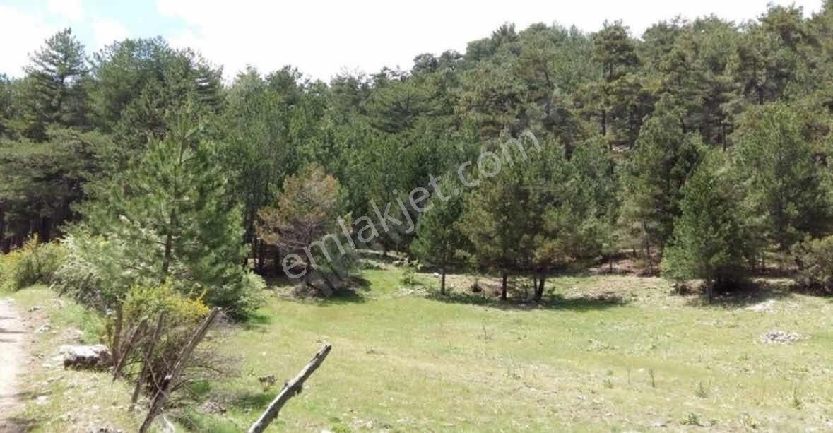 Fethiye Koruköy'de İlkon'dan Satılık 4 Dönüm Fırsat Tarla - Görsel 4