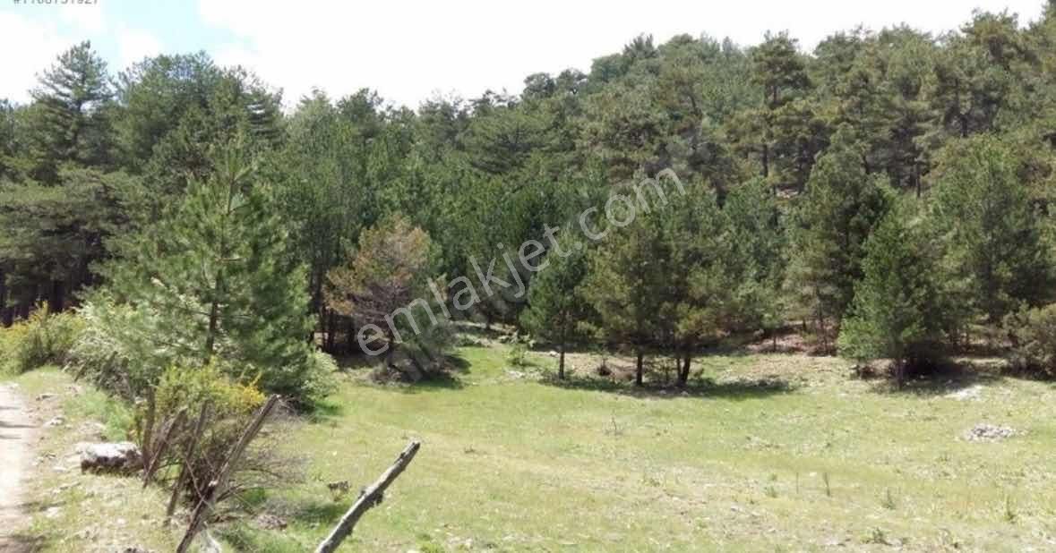Fethiye Koruköy'de İlkon'dan Satılık 4 Dönüm Fırsat Tarla - Görsel 3