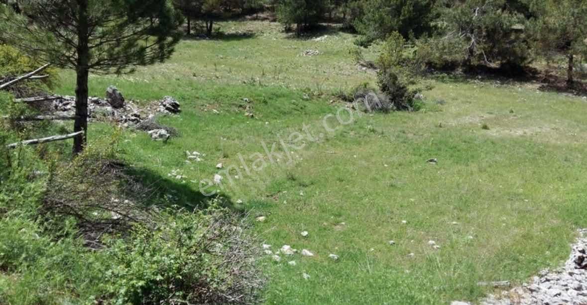 Fethiye Koruköy'de İlkon'dan Satılık 4 Dönüm Fırsat Tarla
