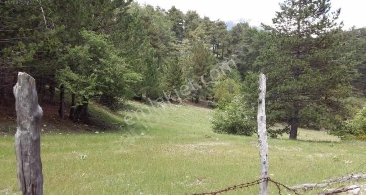 Fethiye Koruköy'de İlkon'dan Satılık 4 Dönüm Fırsat Tarla - Görsel 5