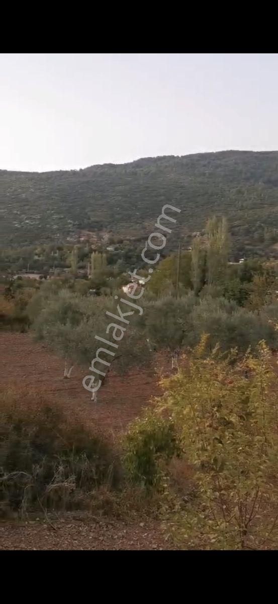 Fethiye Çenger Mah.ilkon'dan Satılık Köyiçi İmarlı Tarla