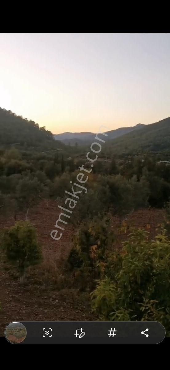 Fethiye Çenger Mah.ilkon'dan Satılık Köyiçi İmarlı Tarla - Görsel 2