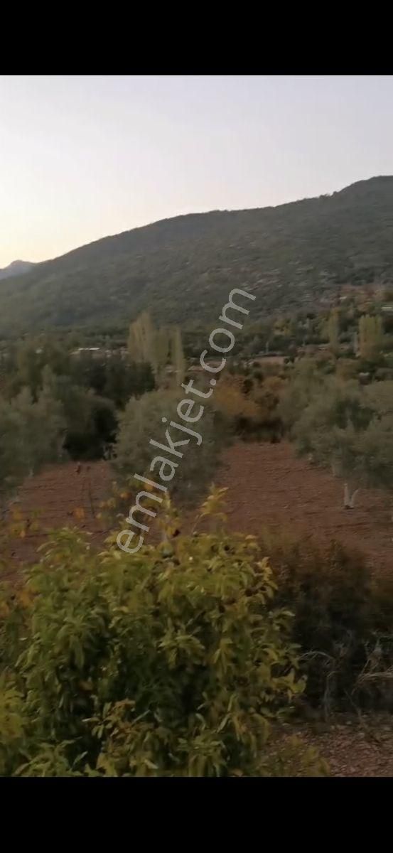 Fethiye Çenger Mah.ilkon'dan Satılık Köyiçi İmarlı Tarla - Görsel 4