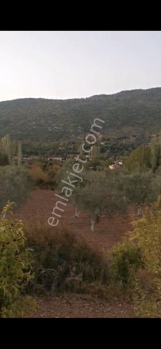 Fethiye Çenger Mah.ilkon'dan Satılık Köyiçi İmarlı Tarla - Görsel 7