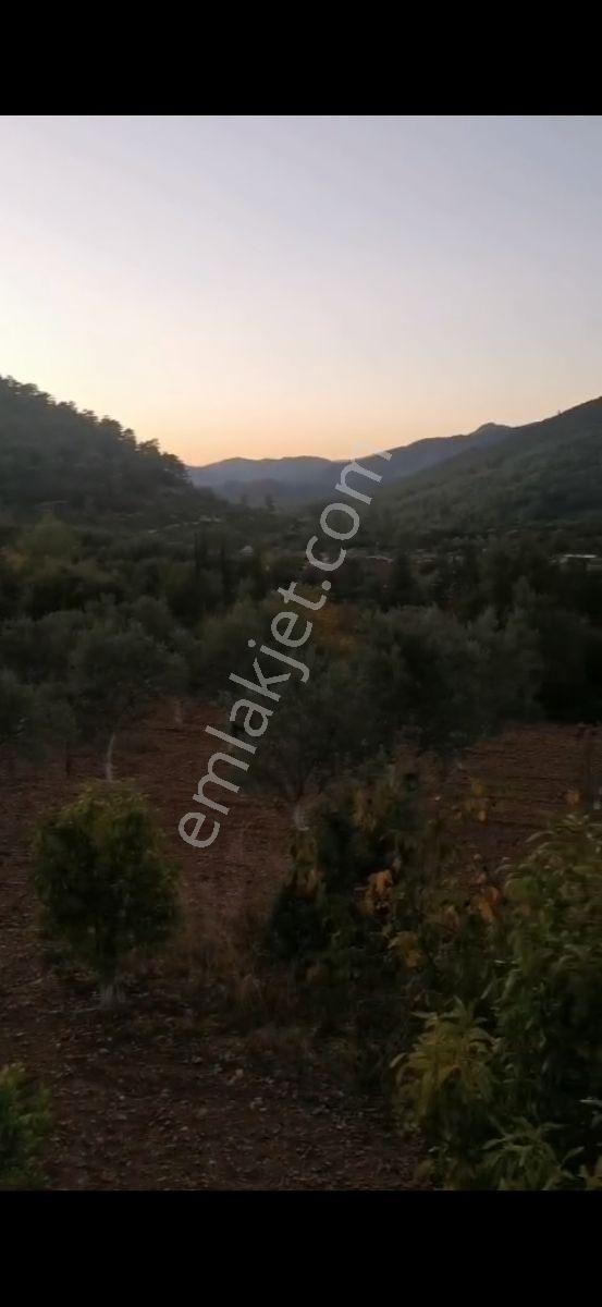 Fethiye Çenger Mah.ilkon'dan Satılık Köyiçi İmarlı Tarla - Görsel 9