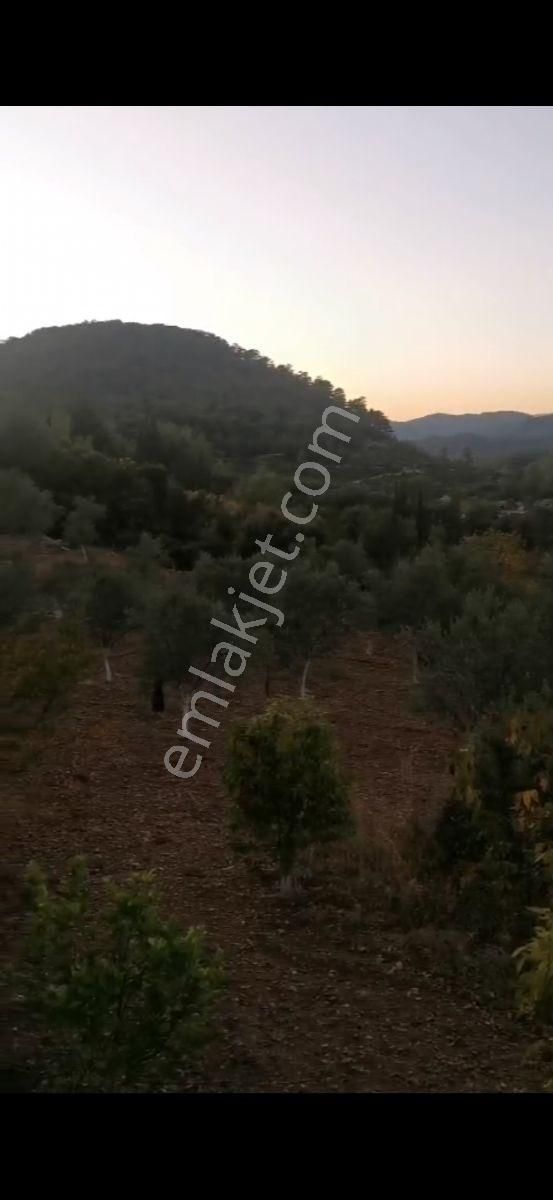 Fethiye Çenger Mah.ilkon'dan Satılık Köyiçi İmarlı Tarla - Görsel 8