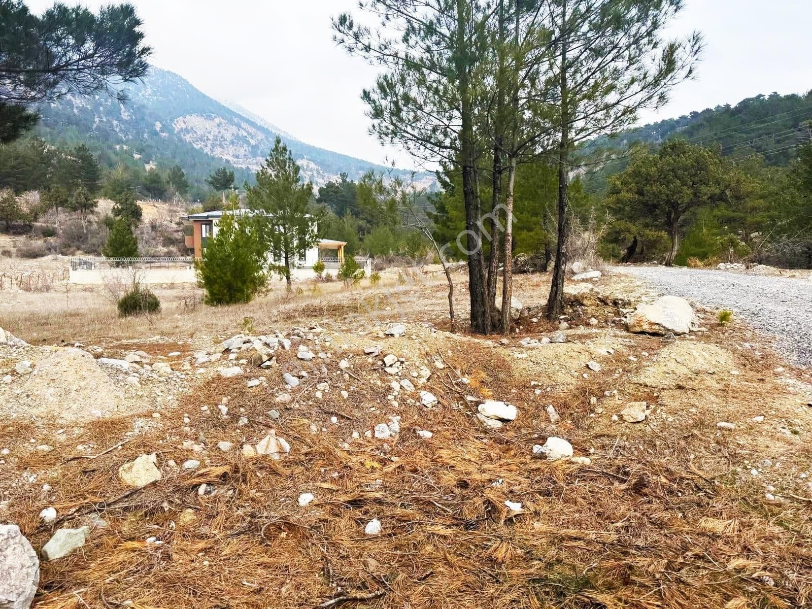 Kar Emlaktan Alpu Yaylasında 400 M2 Satılık Arsa - Görsel 22