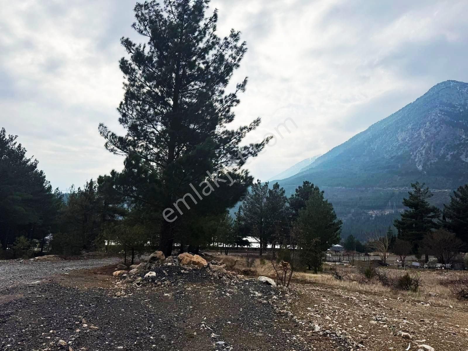 Kar Emlaktan Alpu Yaylasında 400 M2 Satılık Arsa - Görsel 2