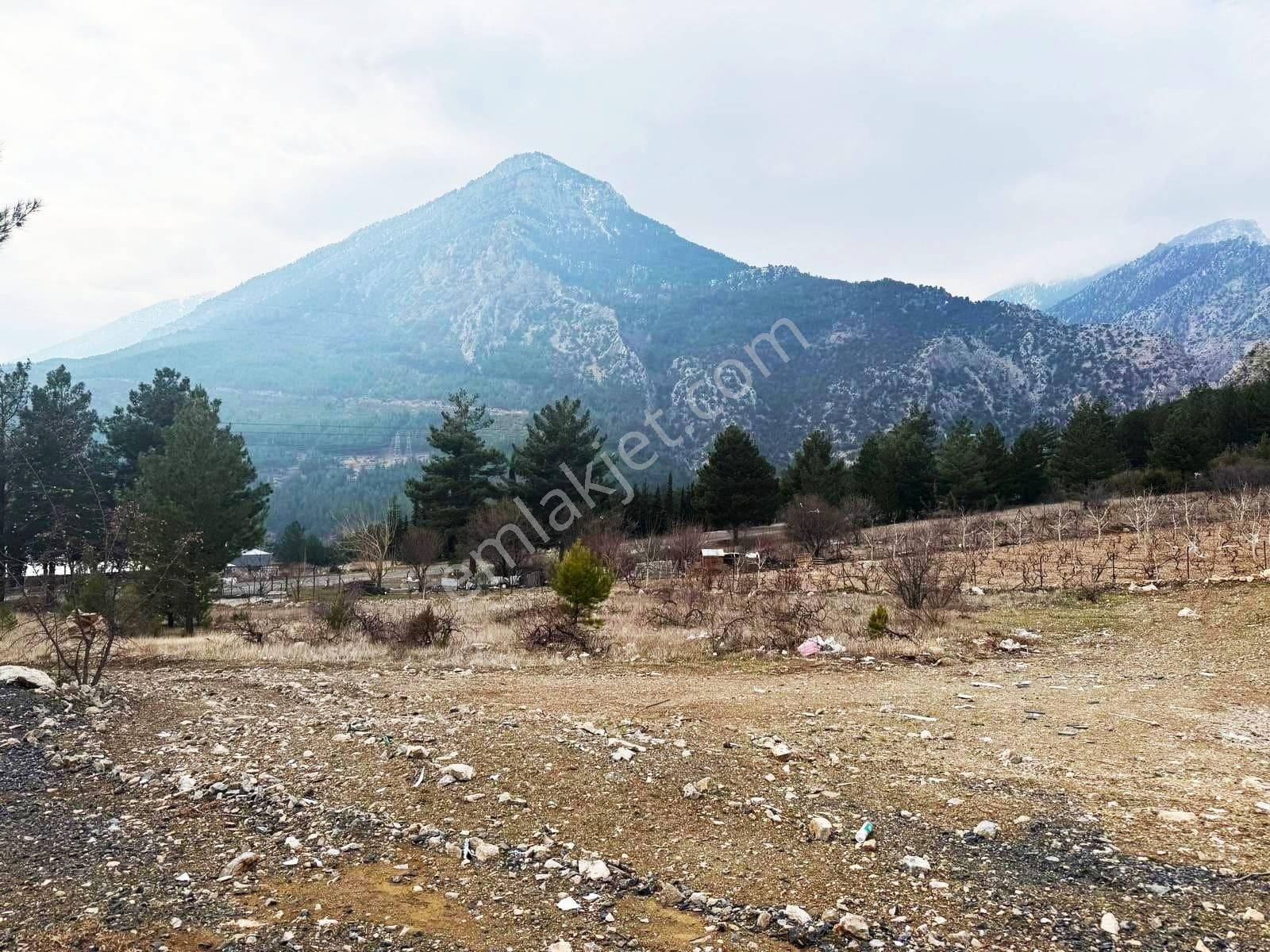 Kar Emlaktan Alpu Yaylasında 400 M2 Satılık Arsa - Görsel 4