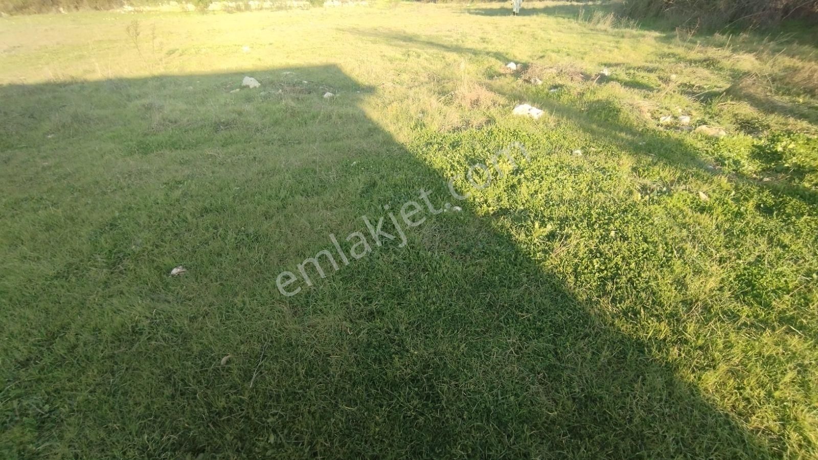 İlkon'dan İncirköy'de Huzurlu Konumda Satılık 2.5 Dönüm Tarla - Görsel 21